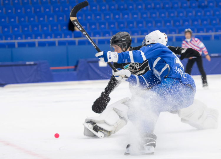 Хоккей с мячом - Иркутск первенство ССЛХМ - фото5