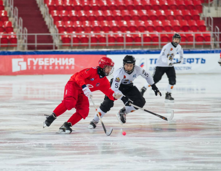 Хоккей с мячом - Хабаровск юниоры 2005-2006 гр - фото1