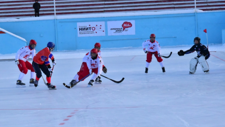 Хоккей с мячом - Новосибирск 2006-2007 предварительный - фото3