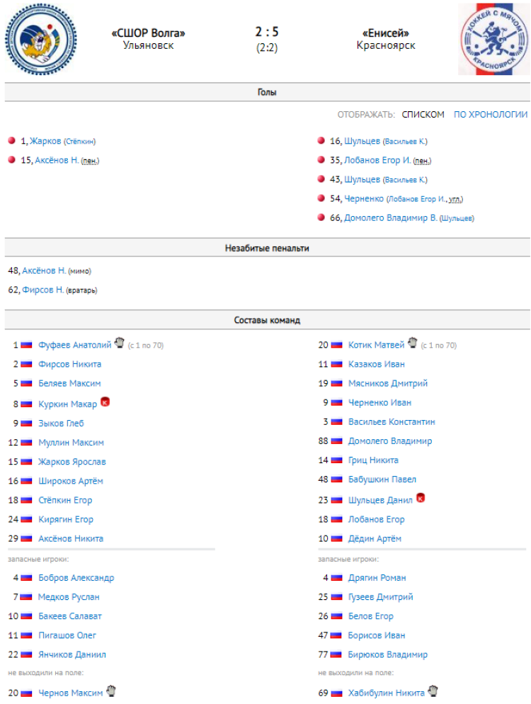 Хоккей с мячом - Ульяновск 2008-2009 гр - протокол тур6 матч2