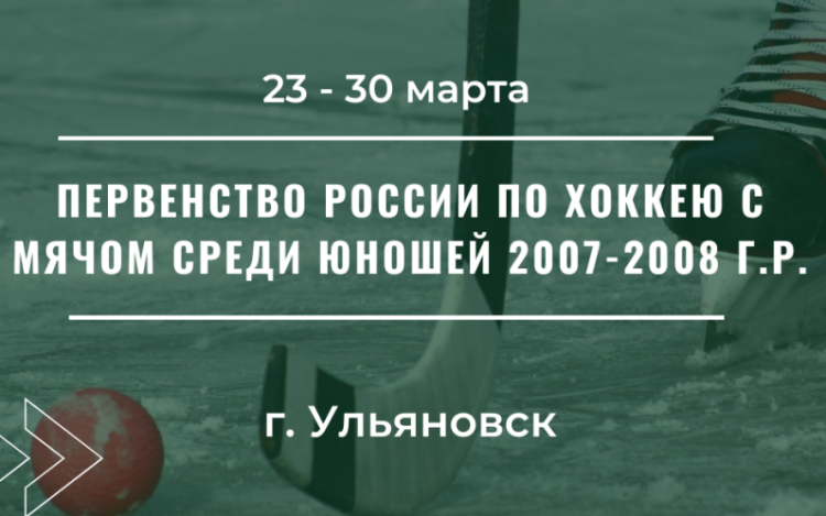 Хоккей с мячом - Ульяновск юноши 2007-2008 - баннер