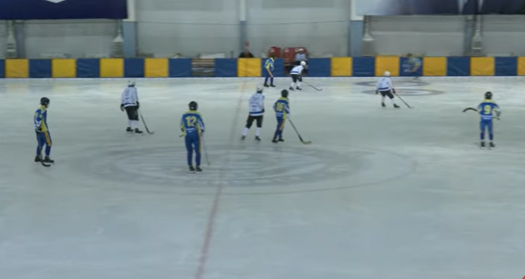 Хоккей с мячом - Ульяновск юноши 2007-2008 - фото2