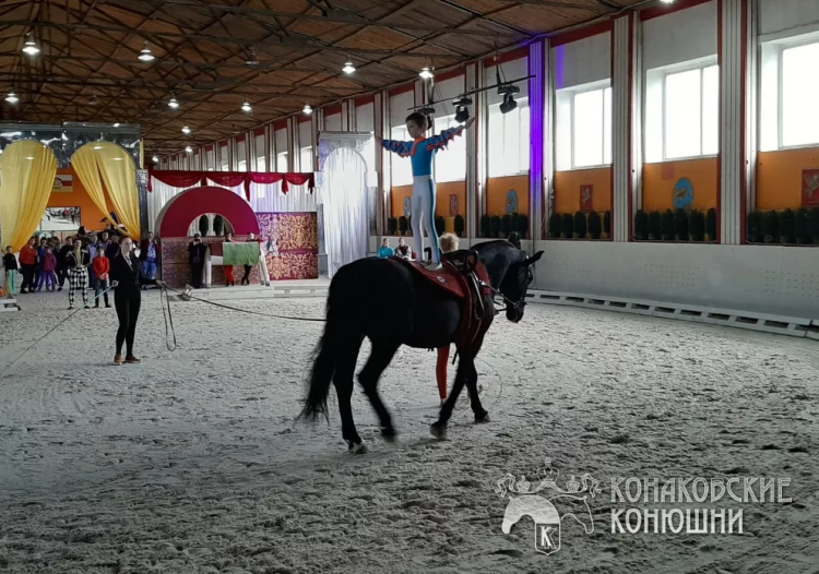 Конный спорт - вольтижировка - Конаковские конюшни 2023 - фото2