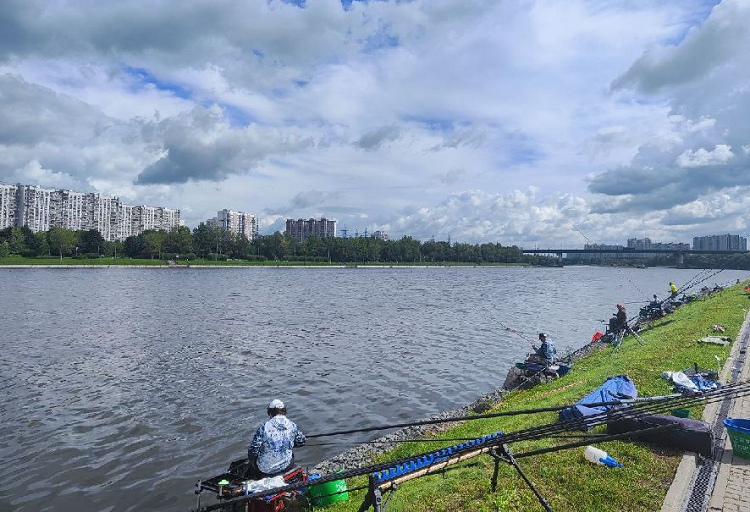 Рыболовный спорт - Москва 2024 - ловля поплавочной удочкой - фото4