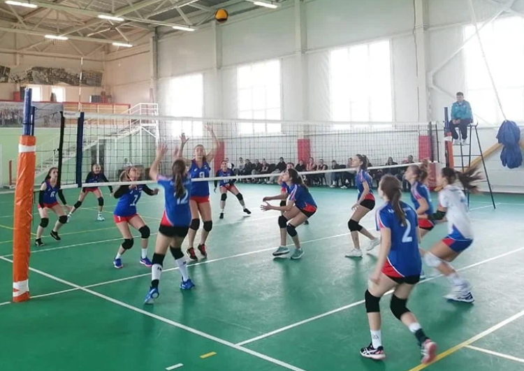 Спартакиада - волейбол девушки Белореченск - анонс-фото1
